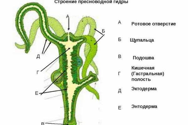 Как зайти в даркнет с тор браузера